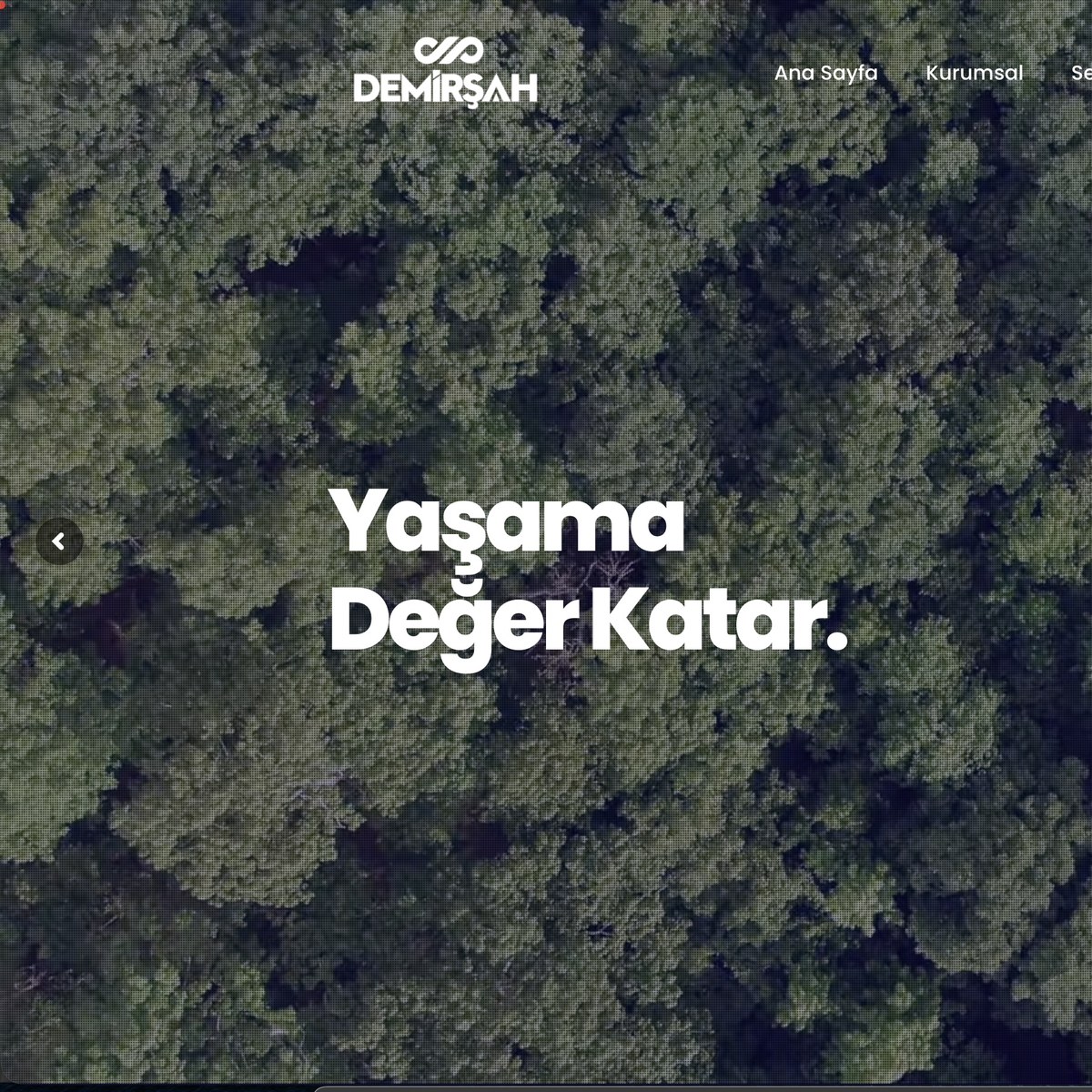 Demirşah Grup — Kurumsal Web